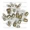 Lectric Limited 1955-1957 Chevrolet Corvette Light Bulb Set VLK5557