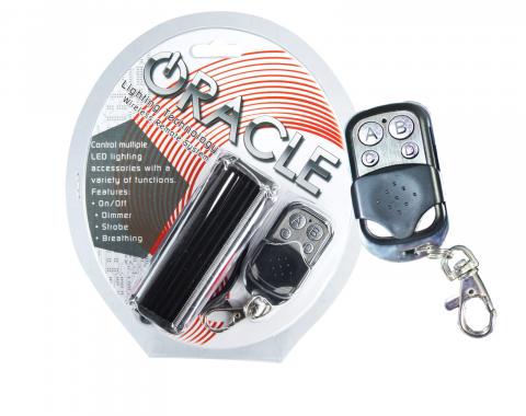 Oracle Lighting Dual Channel Multifunction Remote 1704-504