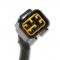 MSD Power Grid Harness, Pro 600 80003