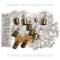 Lectric Limited 1981 Chevrolet Corvette Light Bulb Set VLK8100