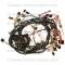 Lectric Limited 1980 Chevrolet Corvette Dash Harness VMA8000AT