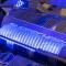 2015-2019 Z06 Stingray Corvette - Illuminated Fuel Rail Covers SUPERCHARGED - Choose LED Color 053089
