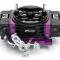 Proform Black Race Series Carburetor, 950 CFM, Mechanical Secondary, Black & Purple 67304