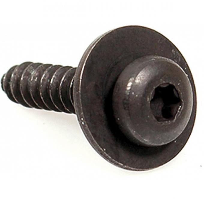 Corvette Headlight Bezel Front Screw, 1984-1996