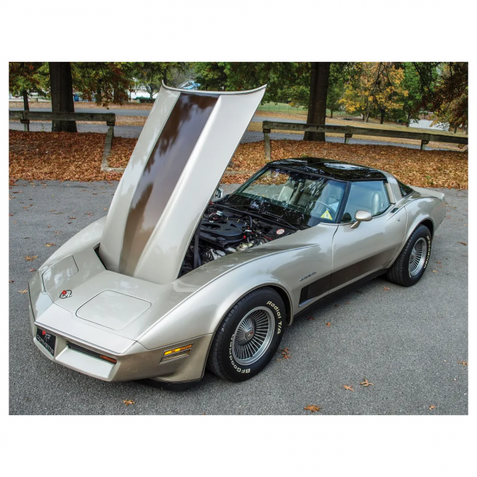 Corvette Body Decal Kit, Collector Edition, 1982