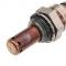 GM Oxygen (O2) Sensor, Pre Converter 2134408