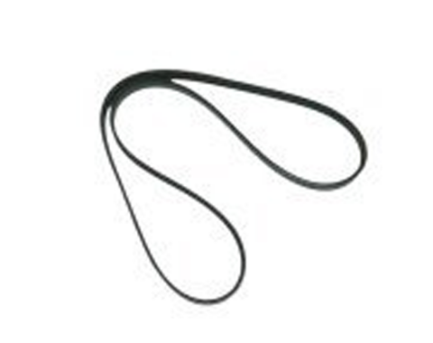 Corvette Accessory Drive Belt, 2005-2011