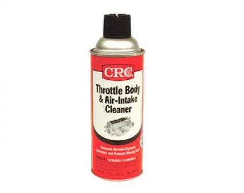 Throttle Body and Air Intake Cleaner