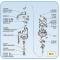 55-84 Distributor Drive Gear - Lower