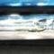 63-82 Side Exhaust Shields Stingray Script Pair