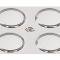 97-04 Polished Stainless Steel Slotted Tail Lamp Trim Rings