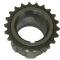 97-13 Crankshaft Sprocket / Gear - Ls1 / LS2 / LS3 / Ls6