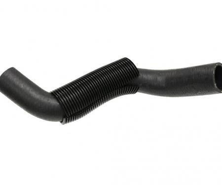 97-04 Radiator Hose - Lower / Outlet