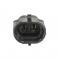 1997-2019 CAGS Skip Shift Eliminator / Bypass