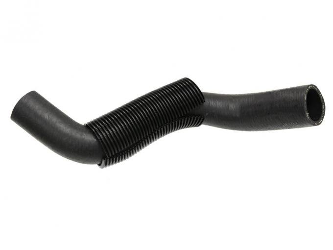 97-04 Radiator Hose - Lower / Outlet