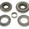 97-04 Differential Bearing And Seal Kit