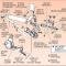 63-82 Power Steering Cylinder Rebuild Kit - Small Parts And Seal