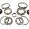 97-04 Differential Bearing And Seal Kit