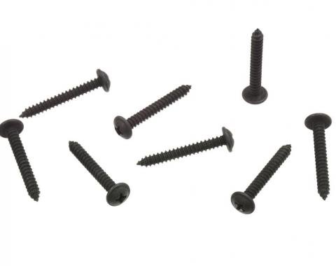 97-04 Tail Light Assembly Mount Screws