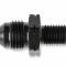 Earl's Straight Male an -6 to 12mm X 1.5, Black AT9919DFGERL